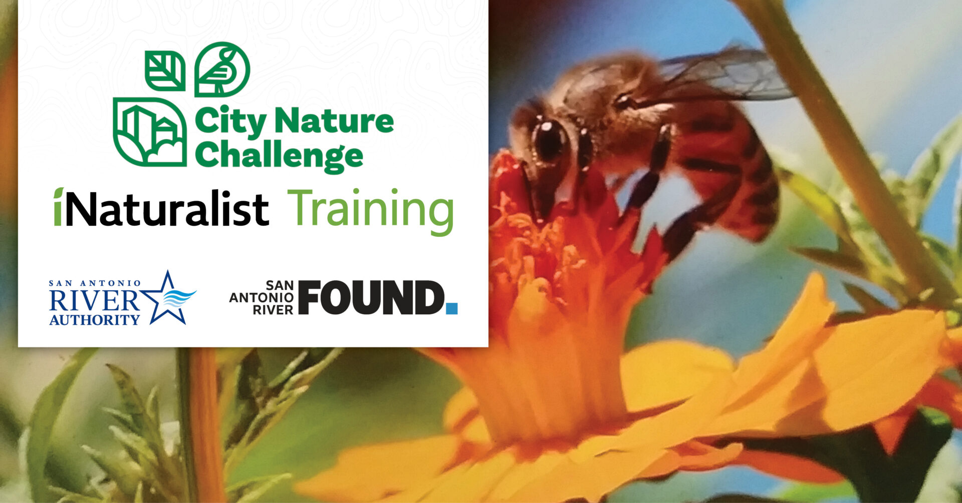 City Nature Challenge – Virtual iNaturalist Training