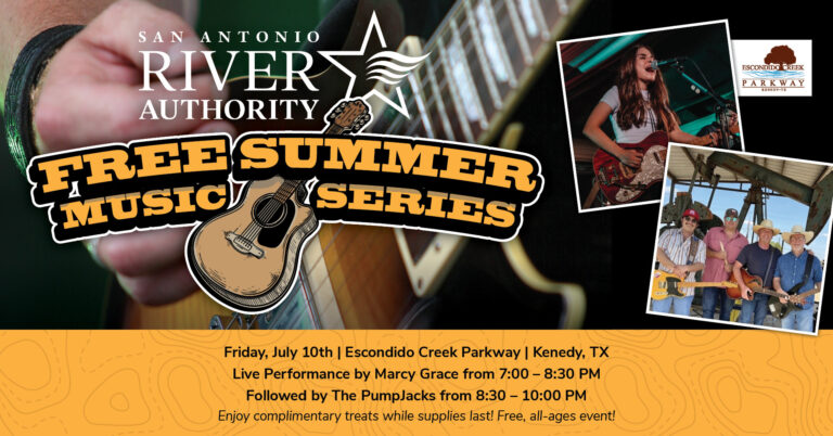 Summer Music Series promotional graphic