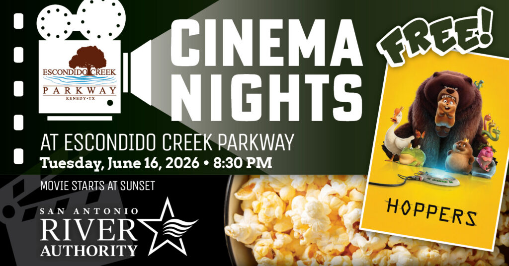 Cinema Nights promotional graphics