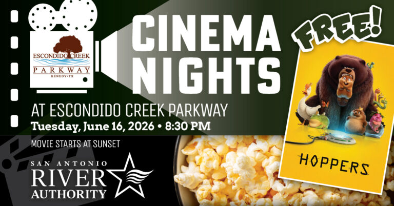 Cinema Nights promotional graphics